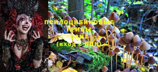 скорость Бородино