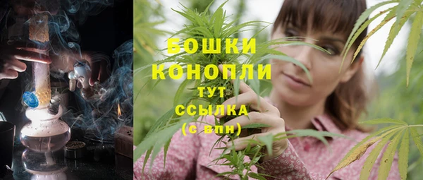 скорость Бородино