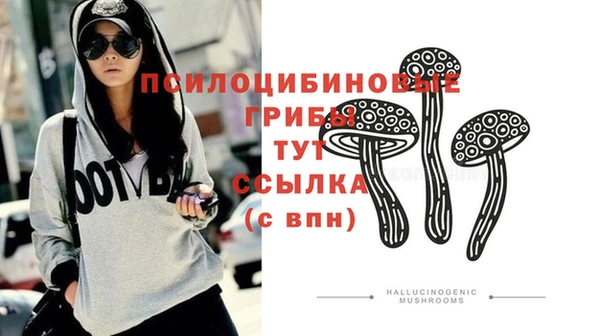 скорость Бронницы