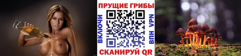 OMG как войти Гулькевичи Галлюциногенные грибы ЛСД
